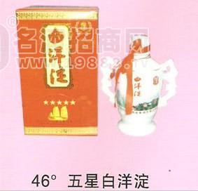 46o五星白洋淀