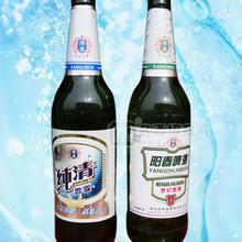陽春-3 600ml×9瓶（塑包）