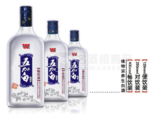 對飲裝