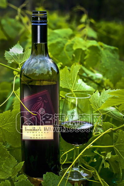 2005年   艾倫巴克之梅洛特（MERLOT）
