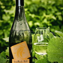 2008年艾倫巴克霞多麗華帝露（CHARDONNAY VERDELHO）