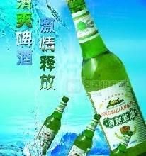 金帶啤酒河北石家莊、衡水、廊坊招各縣市代理商