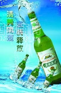 金帶啤酒河北石家莊、衡水、廊坊招各縣市代理商