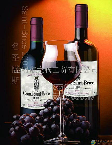 法國原裝進(jìn)口名圣陛斯紅酒2000（Saint-Brice MEDOC）