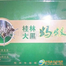 大黑螞蟻王保健食品