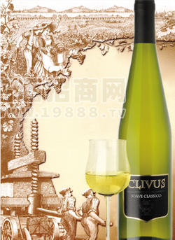 SOAVE CLASSICO 古典精品索瓦干白葡萄酒