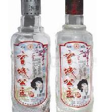 雪域公主