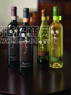 智利名莊古藤葡萄酒（原瓶進(jìn)口）---招商