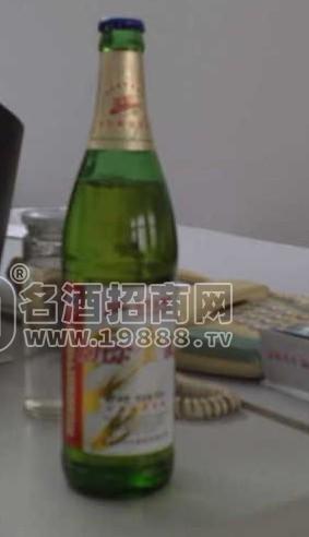 低價供應(yīng)優(yōu)質(zhì)600ml金麥啤酒