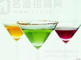 果酒批發(fā)代理桂林特產(chǎn)酒類(lèi)飲料青梅果酒酒類(lèi)