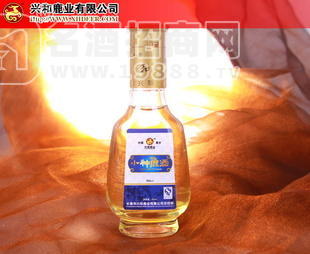 鹿酒 小神鹿 50ml 代理模式 酒批發(fā) 保健酒 酒廠 興和鹿業(yè)