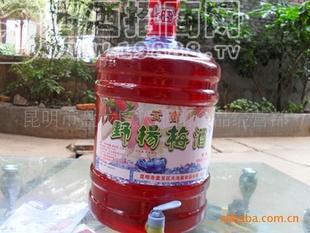 【云南特色酒】螞蟻酒，三七（山寶）酒，木瓜酒，全國(guó)誠(chéng)招代理