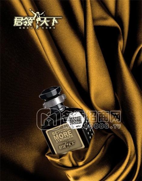 君領(lǐng)天下保健酒，養(yǎng)生酒