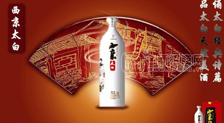 西京太白酒 陜西太白酒招商