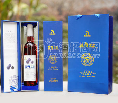 藍(lán)莓浸漬酒 強(qiáng)筋健骨 美容怡顏