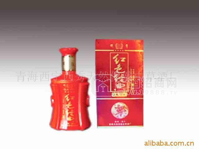 保健酒 青稞酒 滋補(bǔ)蟲(chóng)草酒500ml