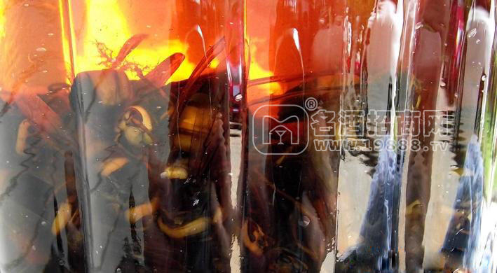 1900ml禮盒虎頭蜂酒送禮佳品