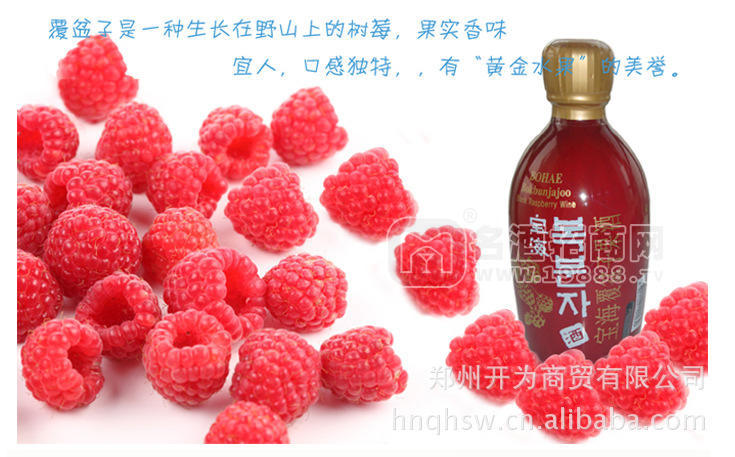 韓國原裝進(jìn)口寶海375ml覆盆子酒 保健酒 送禮佳品