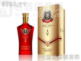v6夢(mèng)酒