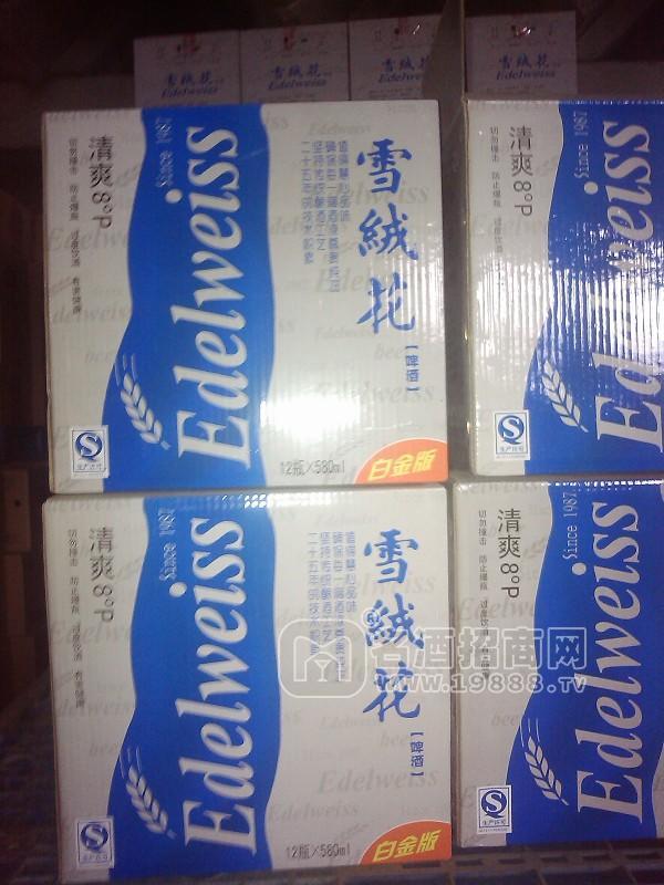 啤酒代理首選九州啤酒