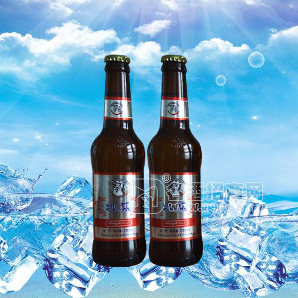 ·冰乐棕瓶啤酒330mlx20瓶 