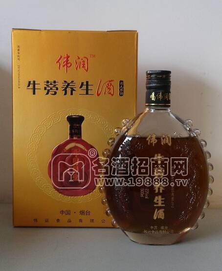 偉潤牛蒡養(yǎng)生酒