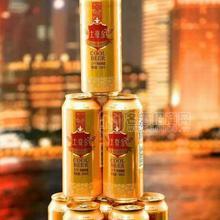 土豪金啤酒罐裝 500ml招商