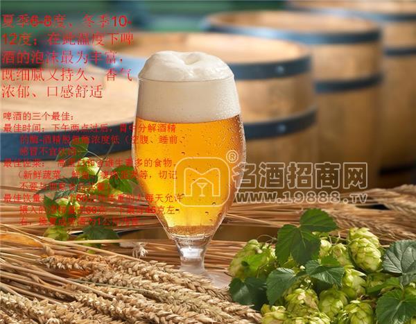 德國沃夫皇冠小麥啤酒