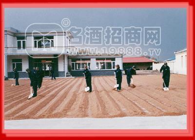 工作場景