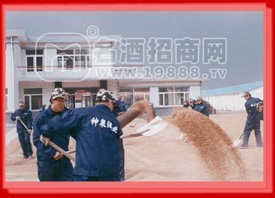 工作場景