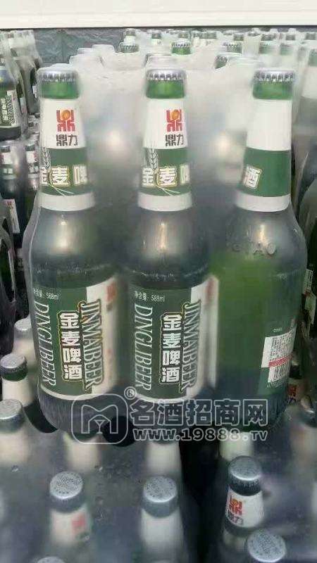 588ml金麥啤酒