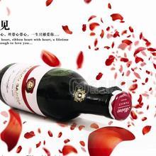 法國原瓶進(jìn)口葡萄酒 廠家批發(fā)招商招商
