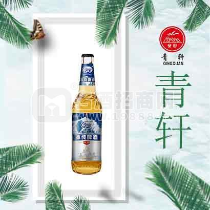 新品上市小瓶啤酒夜場(chǎng)啤酒招商