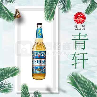 酒吧啤酒24瓶小支啤酒招商政策