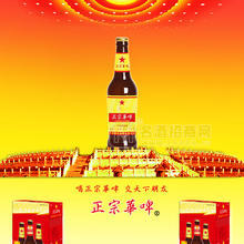 正宗華啤500精釀棕8度啤酒