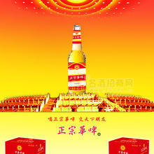 正宗華啤500精釀10度啤酒
