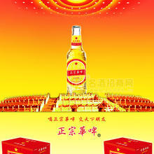 正宗華啤330精釀8度啤酒