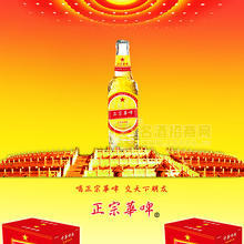 正宗華啤330精釀10度啤酒