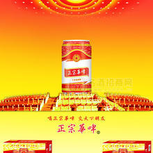 正宗華啤330易拉罐精釀8度啤酒