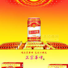 正宗華啤330易拉罐精釀10度啤酒