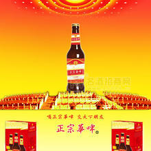 正宗華啤500精釀棕10度啤酒