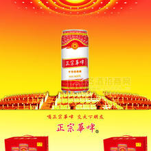 正宗華啤500易拉罐精釀8度啤酒