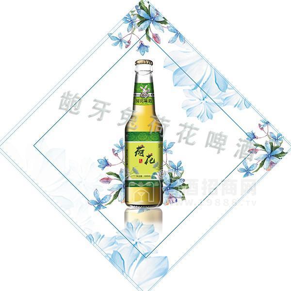 齙牙兔荷花啤酒480ml