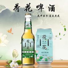 荷花啤酒招商 罐裝啤酒500ml