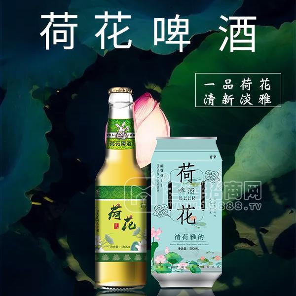 荷花啤酒招商 罐裝啤酒+瓶裝啤酒組合