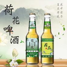 荷花啤酒 瓶裝啤酒招商400ml