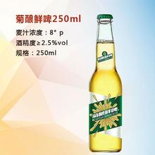 菊酿鲜啤 养生型啤酒招商 8度酒250ml