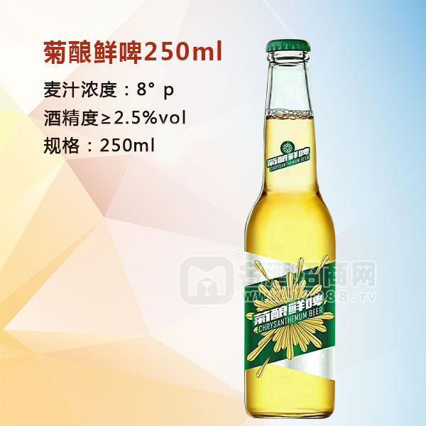 菊釀鮮啤 養(yǎng)生型啤酒招商 8度酒250ml