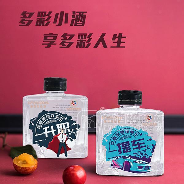 多彩貴州 42度白酒龍隆重招商 兼香型100ml