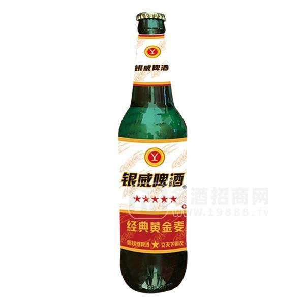 銀威啤酒 經(jīng)典黃金麥 精釀啤酒招商500mlx12瓶